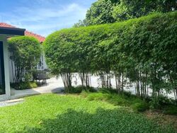 Turf Club Road (D11), Detached #568732321